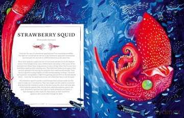 Oceanopedia: an Encyclopedia of Marine Creatures - Helen Scales [KSIĄŻKA]