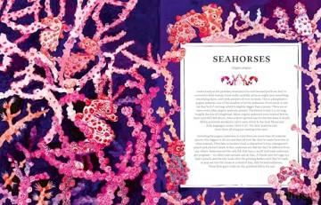 Oceanopedia: an Encyclopedia of Marine Creatures - Helen Scales [KSIĄŻKA]