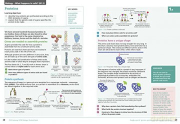 OCR Gateway GCSE Biology 9-1 Student Book (GCSE Science 9-1) - Anne Pilling [KSIĄŻKA]