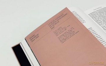 OFFENE FRAGEN. Kunstwerke - Erwerbungen - Schicksale: Provenienzforschung am Kunstmuseum Basel - Tessa Friederike Rosebrock [KSIĄŻKA]