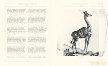 On the Origin of Species (Arcturus Epic Classics) - Charles Darwin [KSIĄŻKA]