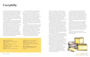 One Cheese to Rule Them All: The ultimate guide for cheese lovers - Patrick McGuigan [KSIĄŻKA]