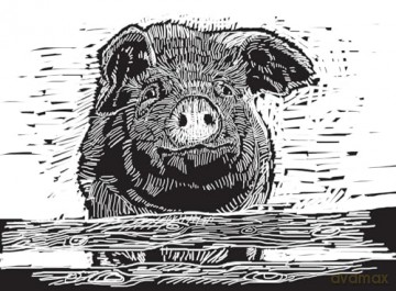 One Man and His Hog: The Story of a Pig Called Alice - Paul Heiney [KSIĄŻKA]