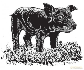 One Man and His Hog: The Story of a Pig Called Alice - Paul Heiney [KSIĄŻKA]