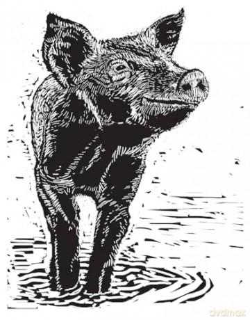 One Man and His Hog: The Story of a Pig Called Alice - Paul Heiney [KSIĄŻKA]