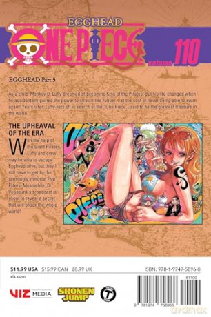 One Piece, Vol. 110: Volume 110 - Eiichiro Oda [KOMIKS]