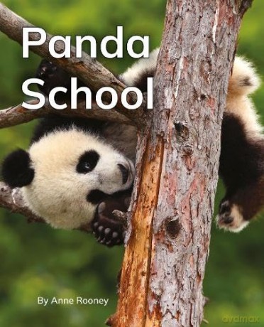 Panda School: Phonics Phase 5 (Reading Stars Achieve Phonics) [KSIĄŻKA]