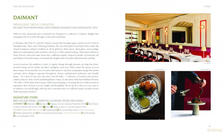 Paris Wellness Review (Journey Books) - Tiffany Lam [KSIĄŻKA]