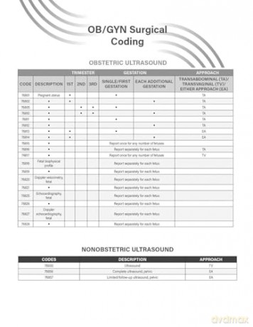 Payment in Practice: 2025 Ob/GYN Coding Manual - American College of Obstetricians and Gynecologists Acog [KSIĄŻKA]