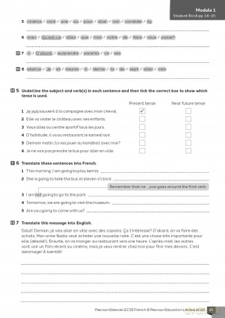 Pearson Edexcel GCSE French Vocabulary, Grammar and Translation Workbook (GCSE MFL 2024 for Edexcel) - Tom Hockaday [KSIĄŻKA]