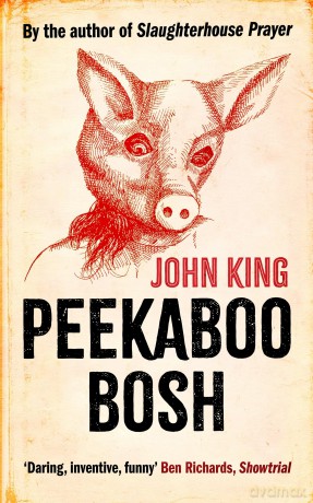 Peekaboo Bosh - John King [KSIĄŻKA]