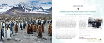 Penguin Palooza: A Fun, Photo-filled Picture Book Celebration of All Things Penguin! - Paige Towler [KSIĄŻKA]
