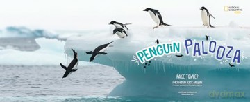 Penguin Palooza: A Fun, Photo-filled Picture Book Celebration of All Things Penguin! - Paige Towler [KSIĄŻKA]