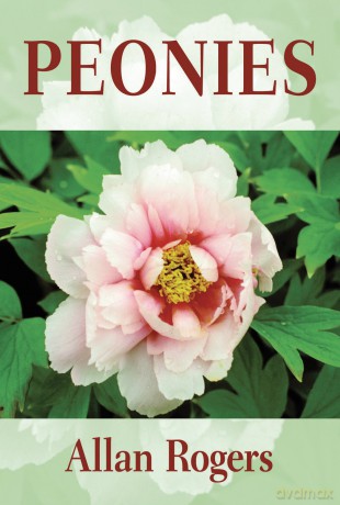 Peonies - Allan Rogers [KSIĄŻKA]