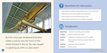 Phonic Books Lift Off Readers Vowel Teams, Diphthongs, and Silent Letters - Phonic Books [KSIĄŻKA]