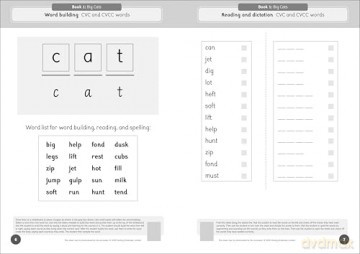 Phonic Books The Fact Files 2 Activities: Adjacent consonants and consonant digraphs, and alternative spellings for vowel sounds (Phonic Books Catch-up Decodable Readers) - Phonic Books [KSIĄŻKA]