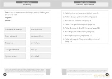 Phonic Books The Fact Files 2 Activities: Adjacent consonants and consonant digraphs, and alternative spellings for vowel sounds (Phonic Books Catch-up Decodable Readers) - Phonic Books [KSIĄŻKA]