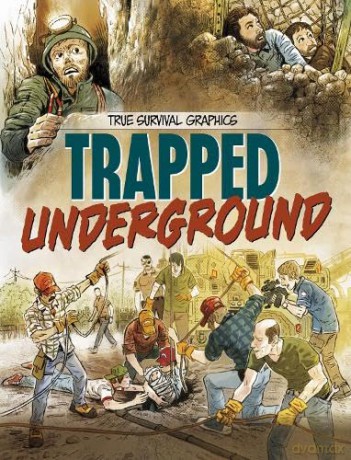 Planes in Peril (True Survival Graphics) - Jarred Luján [KSIĄŻKA]