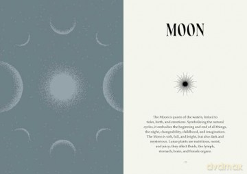 Plant Magic: The Magic Connections of Plants with the Universe - Anastasia Mostacci [KSIĄŻKA]