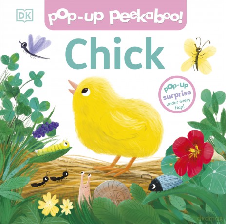 Pop-up Peekaboo! Chick - Dk [KSIĄŻKA]