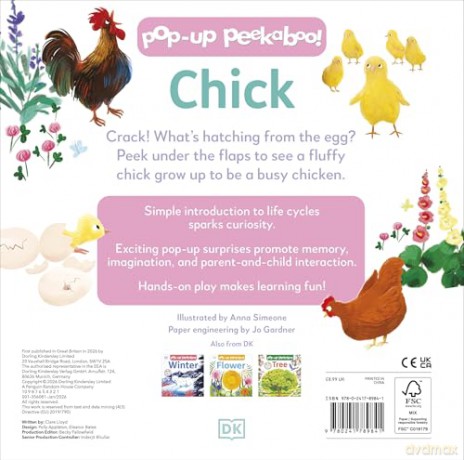 Pop-up Peekaboo! Chick - Dk [KSIĄŻKA]