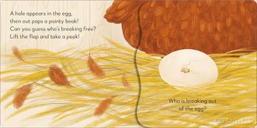 Pop-up Peekaboo! Chick - Dk [KSIĄŻKA]