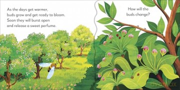 Pop-Up Peekaboo! Tree - Dk [KSIĄŻKA]