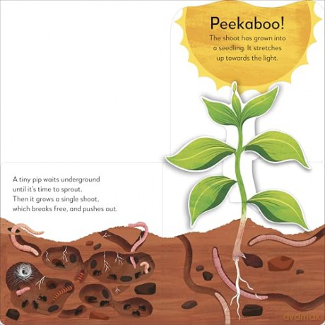 Pop-Up Peekaboo! Tree - Dk [KSIĄŻKA]