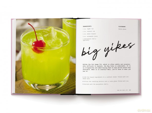 Pour Decisions: 100 Cocktails Inspired by Your Ex - Editors of Cider Mill Press [KSIĄŻKA]