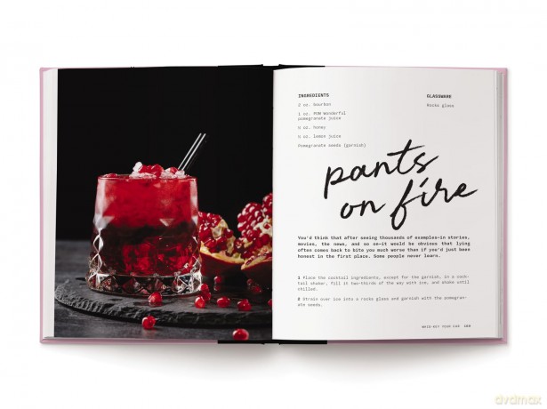 Pour Decisions: 100 Cocktails Inspired by Your Ex - Editors of Cider Mill Press [KSIĄŻKA]
