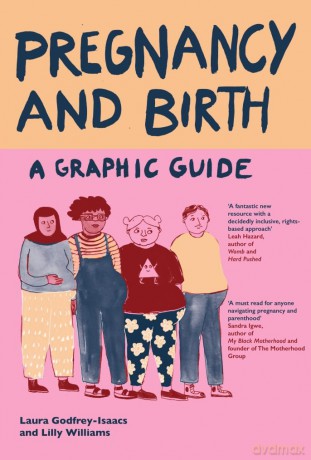 Pregnancy and Birth: A Graphic Guide (Graphic Guides) - Laura Godfrey-Isaacs [KOMIKS]