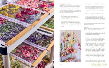 Preserving the Seasons: A Guide to Canned, Jammed, Frozen, Dehydrated, Freeze-Dried, Quick-Pickled, and Infused Produce, Herbs, and Flowers (A Cookbook) - Holly Capelle [KSIĄŻKA]