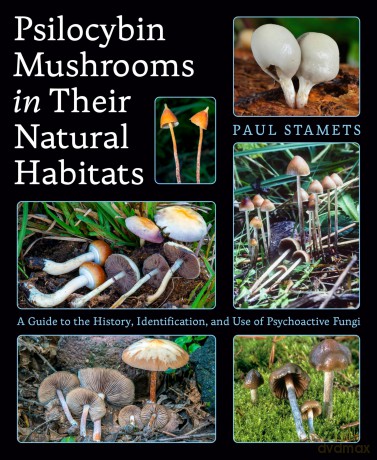 Psilocybin Mushrooms in Their Natural Habitats: A Guide to the History, Identification, and Use of Psychoactive Fungi - Paul Stamets [KSIĄŻKA]