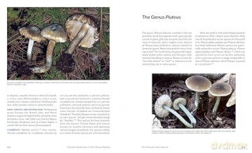 Psilocybin Mushrooms in Their Natural Habitats: A Guide to the History, Identification, and Use of Psychoactive Fungi - Paul Stamets [KSIĄŻKA]