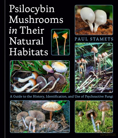 Psilocybin Mushrooms in Their Natural Habitats: A Guide to the History, Identification, and Use of Psychoactive Fungi - Paul Stamets [KSIĄŻKA]