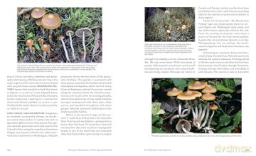 Psilocybin Mushrooms in Their Natural Habitats: A Guide to the History, Identification, and Use of Psychoactive Fungi - Paul Stamets [KSIĄŻKA]