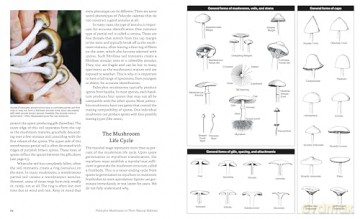 Psilocybin Mushrooms in Their Natural Habitats: A Guide to the History, Identification, and Use of Psychoactive Fungi - Paul Stamets [KSIĄŻKA]