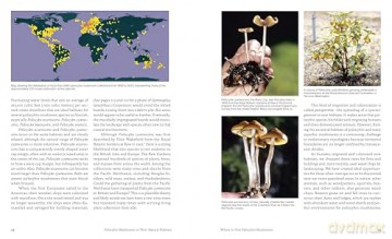 Psilocybin Mushrooms in Their Natural Habitats: A Guide to the History, Identification, and Use of Psychoactive Fungi - Paul Stamets [KSIĄŻKA]