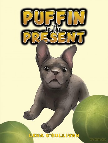 Puffin in the Present - Lena O'Sullivan [KSIĄŻKA]