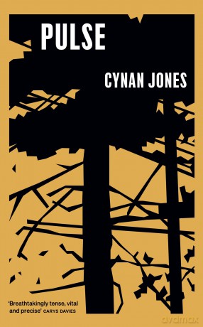 Pulse - Cynan Jones [KSIĄŻKA]