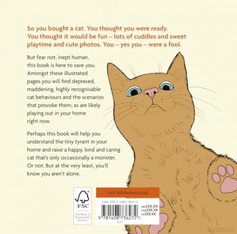 Raising Cats in the 21st Century: the perfect Christmas stocking filler for cat owners! - Ainsley Drew [KSIĄŻKA]