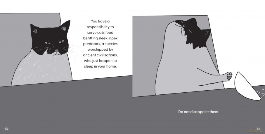 Raising Cats in the 21st Century: the perfect Christmas stocking filler for cat owners! - Ainsley Drew [KSIĄŻKA]