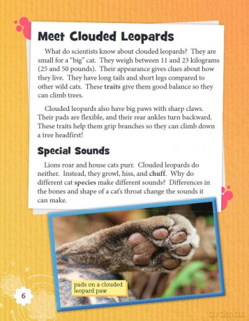 Raising Clouded Leopards (Smithsonian: Informational Text) - Lisa Steele MacDonald [KSIĄŻKA]