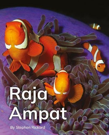 Raja Ampat: Phonics Phase 5 (Reading Stars Achieve Phonics) [KSIĄŻKA]