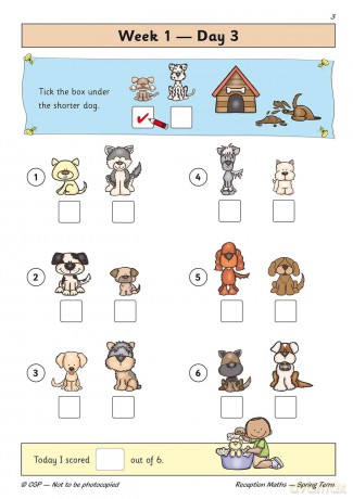 Reception Maths Daily Practice Book: Spring Term (CGP Reception Daily Workbooks) - CGP Books [KSIĄŻKA]