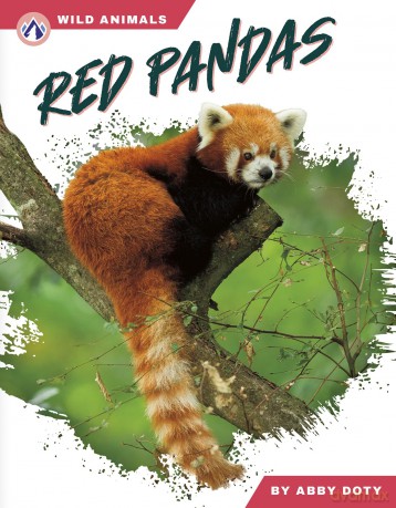 Red Pandas (Wild Animals Set 2) - Abby Doty [KSIĄŻKA]