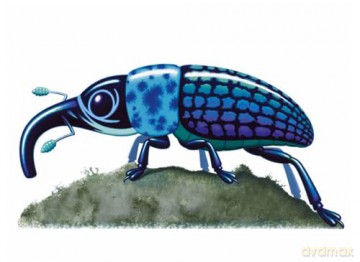 Remarkable Animals: 1000 Amazing Amalgamations - Tony Meeuwissen [KSIĄŻKA]
