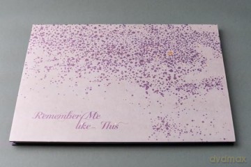 Remember Me Like This - Rachel Liu [KSIĄŻKA]