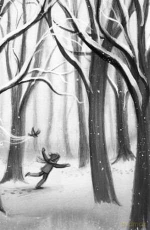 Robin: cosy up with a spellbinding winter story this Christmas - Sarah Ann Juckes [KSIĄŻKA]