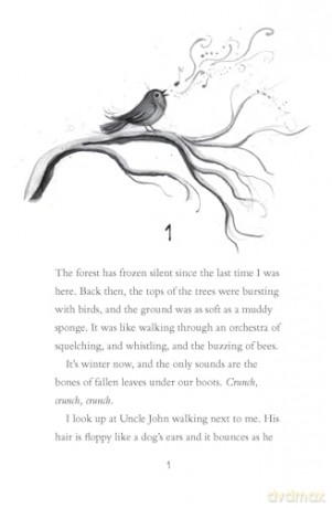 Robin: cosy up with a spellbinding winter story this Christmas - Sarah Ann Juckes [KSIĄŻKA]